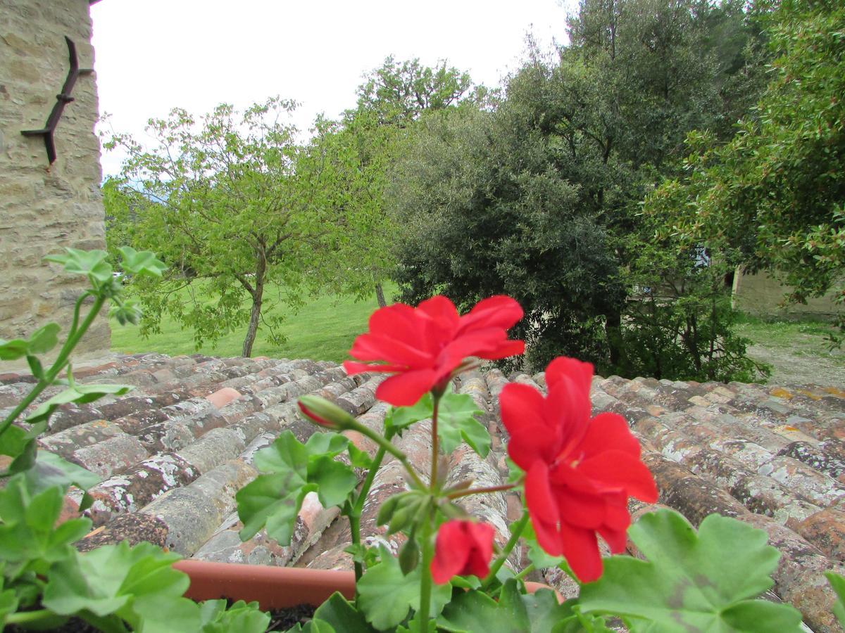Le Querce Di Campolungo Bed & Breakfast San Giustino Dış mekan fotoğraf